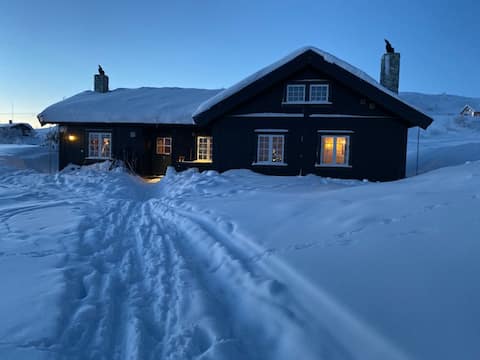 Large cabin centrally located in Ustaoset