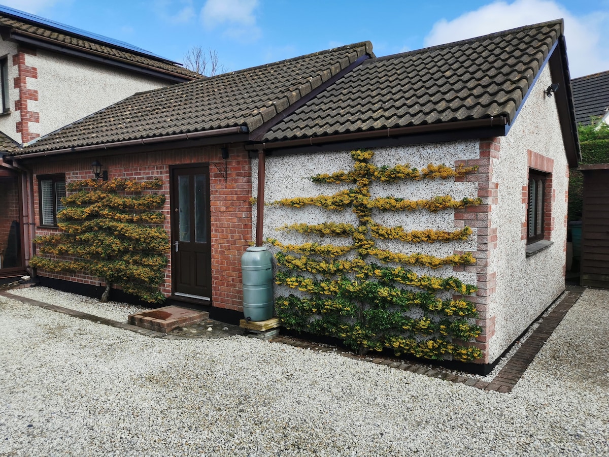 The exterior of the flat displays a blend of textured finishes, featuring a brick and rendered facade. Lush green and yellow foliage adorns the walls, while a light blue water tank sits adjacent to the entrance. A gravel area surrounds the building, providing space for parking.