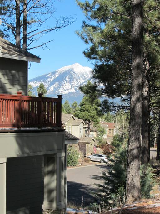 View from back yard