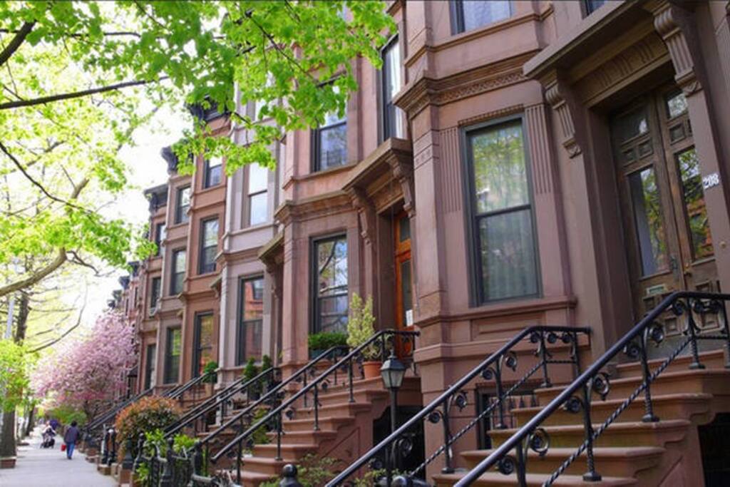 Street-side view of our apartment during the summer