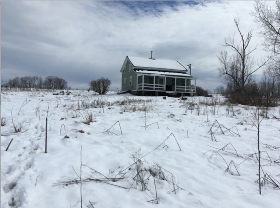 House from the yard