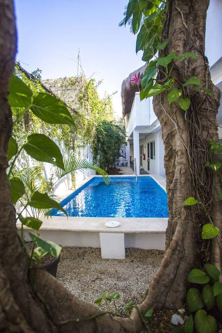 The swimming pool