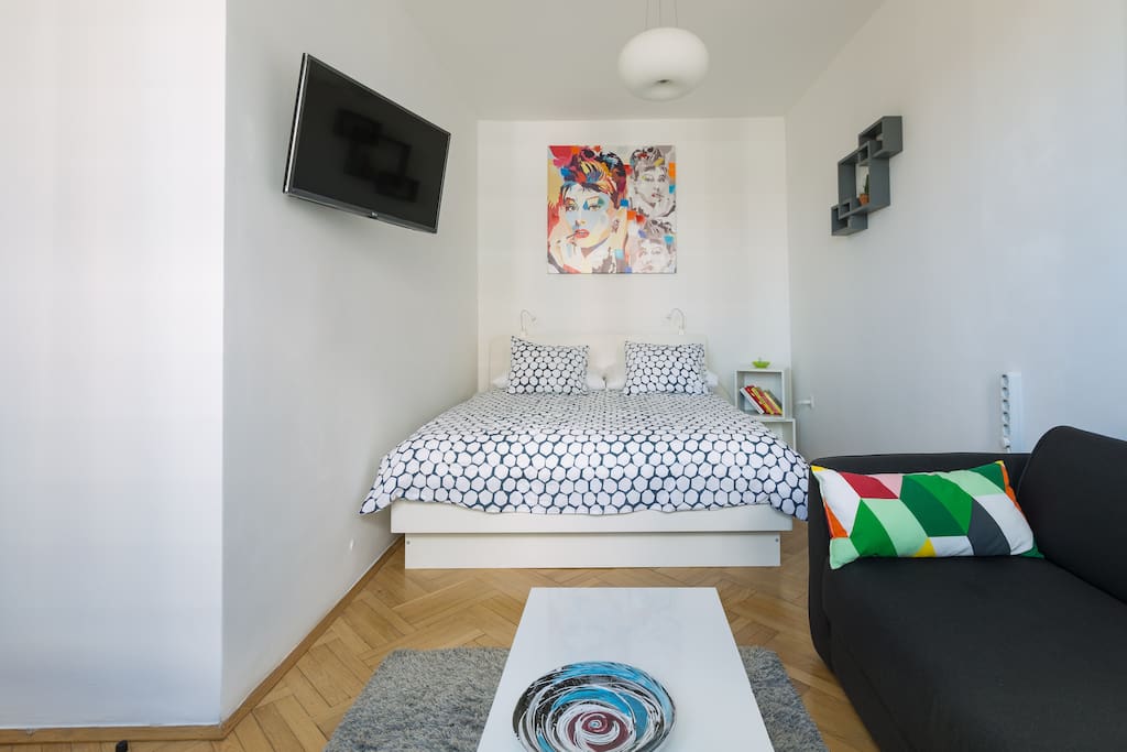 bedroom/living room