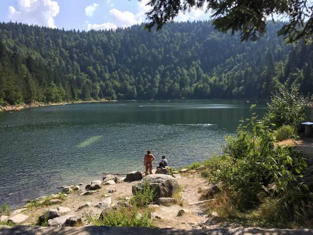 Charmant chalet au col du brabant - La Bresse