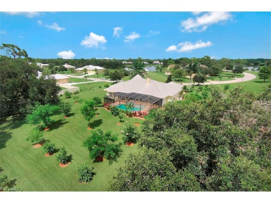 Almost two acres of landscaped orchard and 90 trees