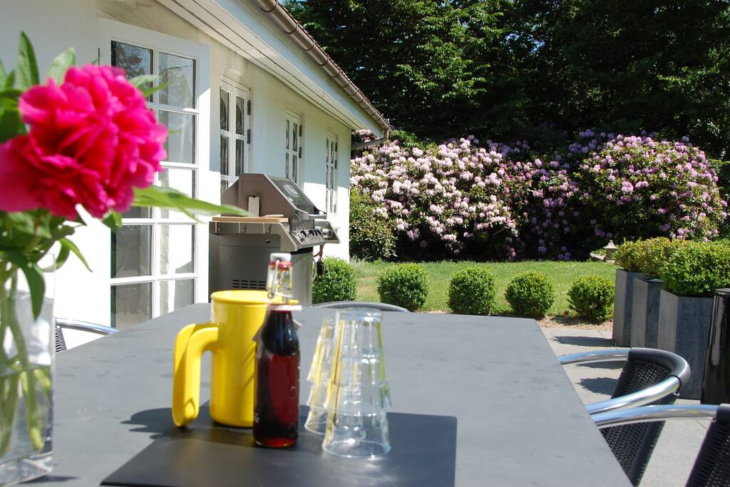 Large sunny terrace (south, detail)