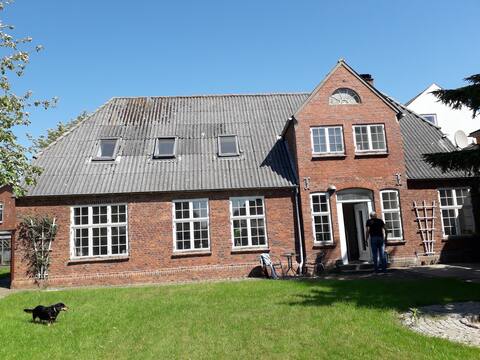 Merrbrise schnuppern in der alten Schule