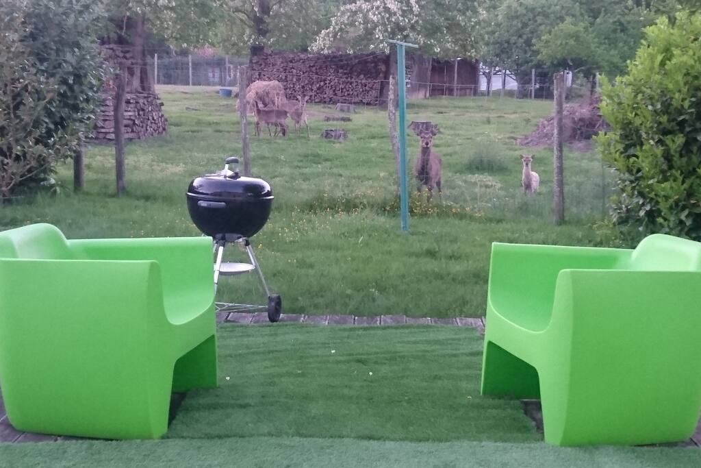 TERRASSE PRIVATIVE , BARBECUE, PARC AVEC ANIMAUX(DAIMS)