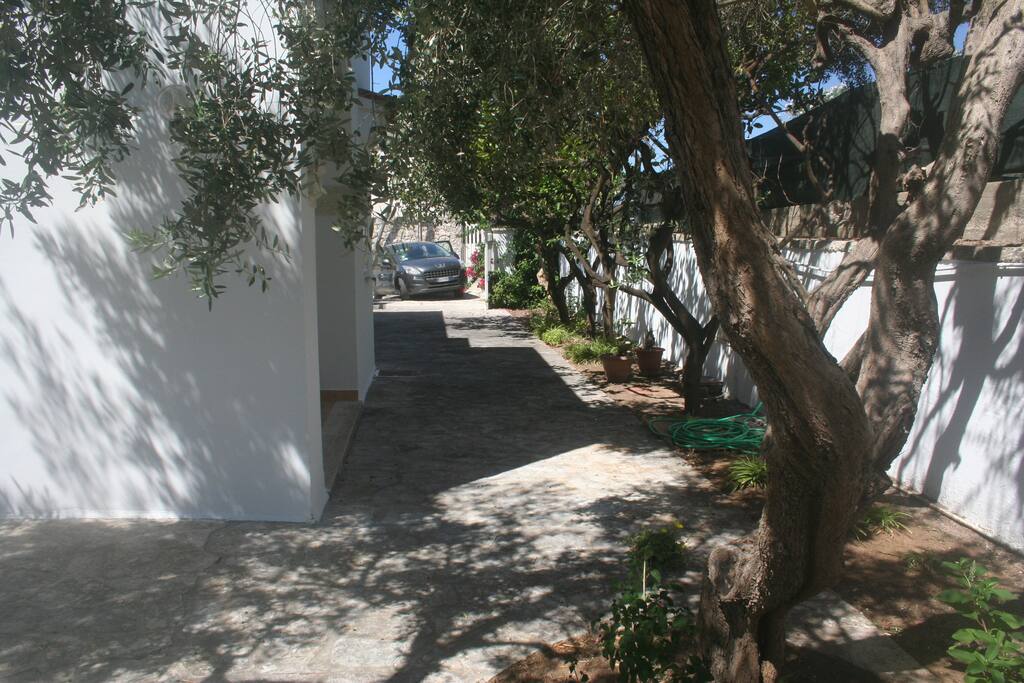 Giardino