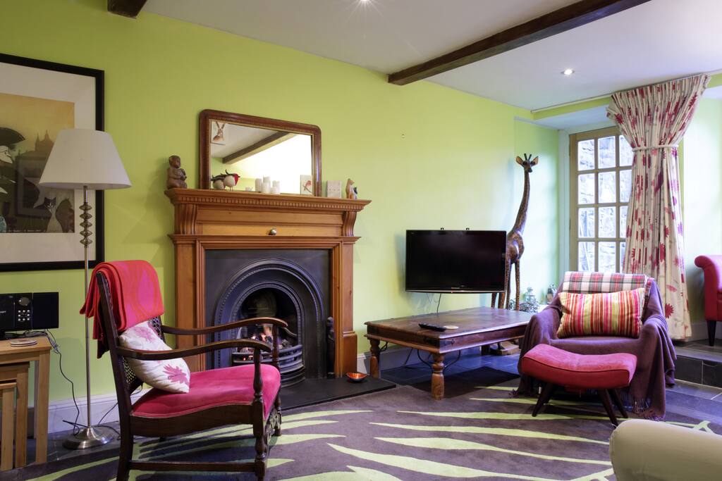 Living room with TV and fire