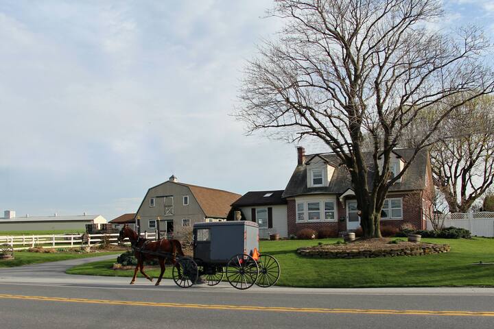 Amish Barn Suite