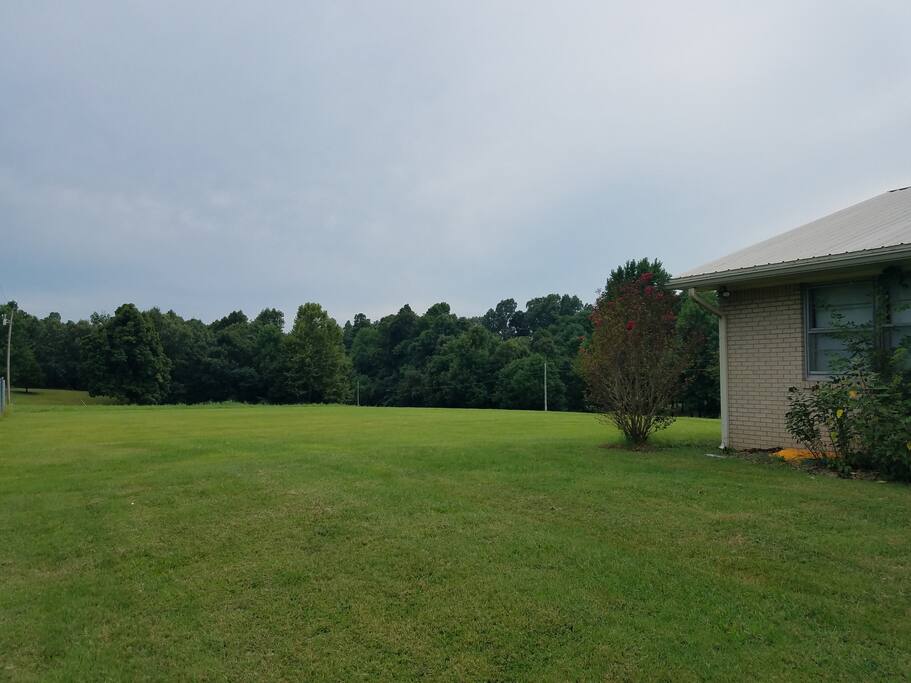 Lots of yard