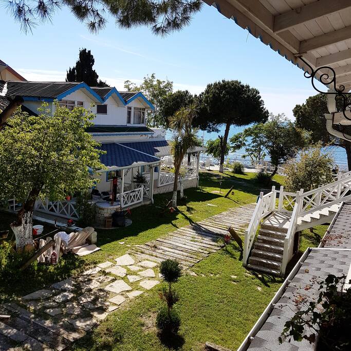 Garden view 2