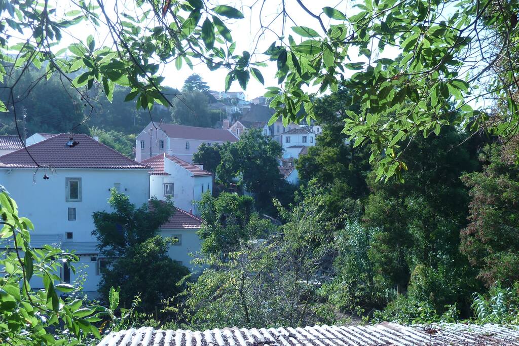 colares and est view of the building