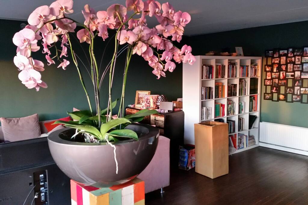 Flowers and plants