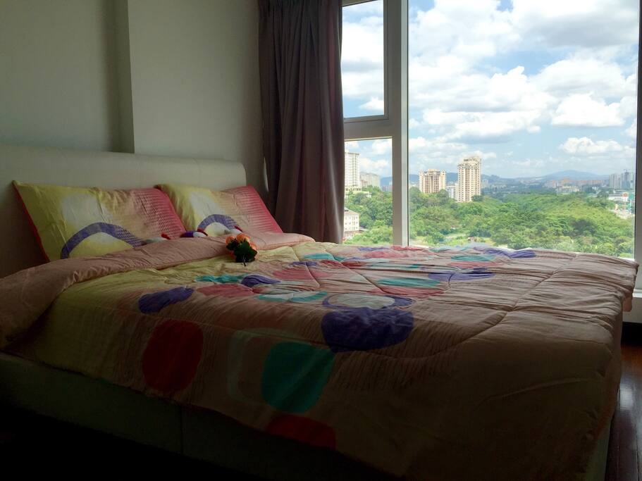 和绿色说早安 (say good morning to the green)