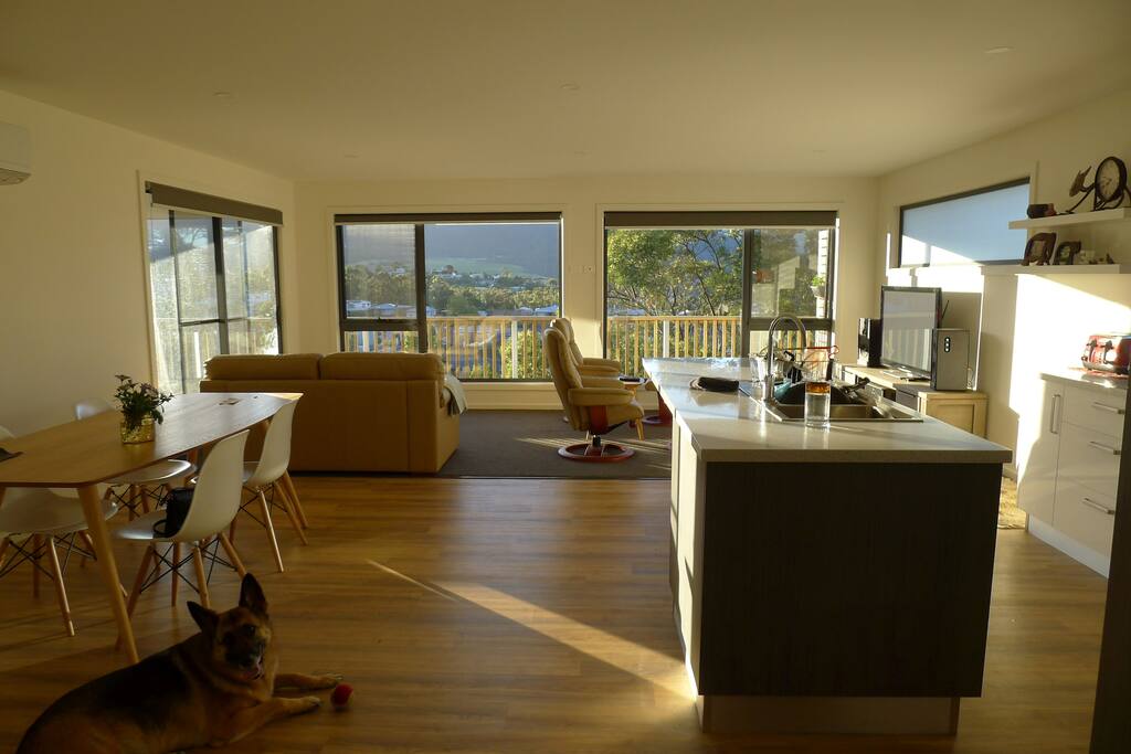 The shared living area