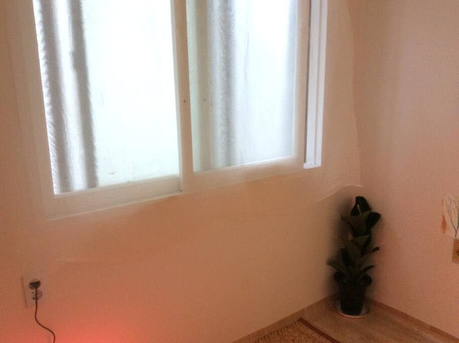 bright window with plants
