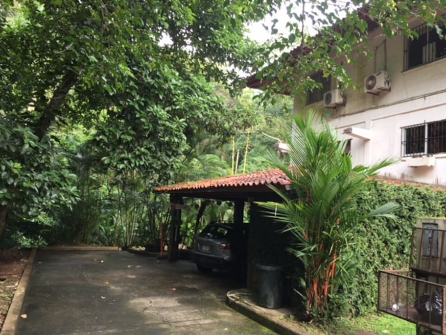 Front of house