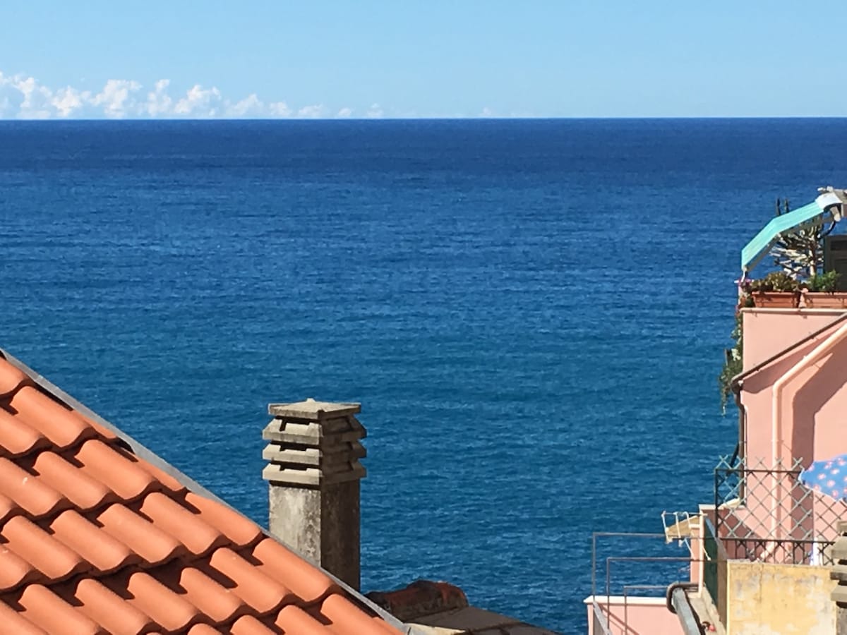 A sweeping view of the deep blue sea is framed by terracotta rooftops. The horizon meets the sky, accented by distant clouds. Various buildings with vibrant colors are visible along the coastline, enhancing the seaside scenery.