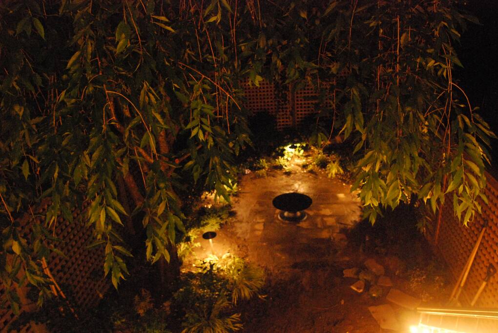 Garden at night