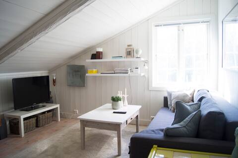 Top performing Airbnb: Unik apartment in center of the old town kongsberg in Kongsberg