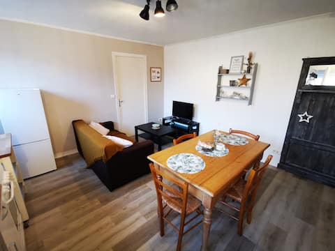 Furnished apartment in the city center of Falaise