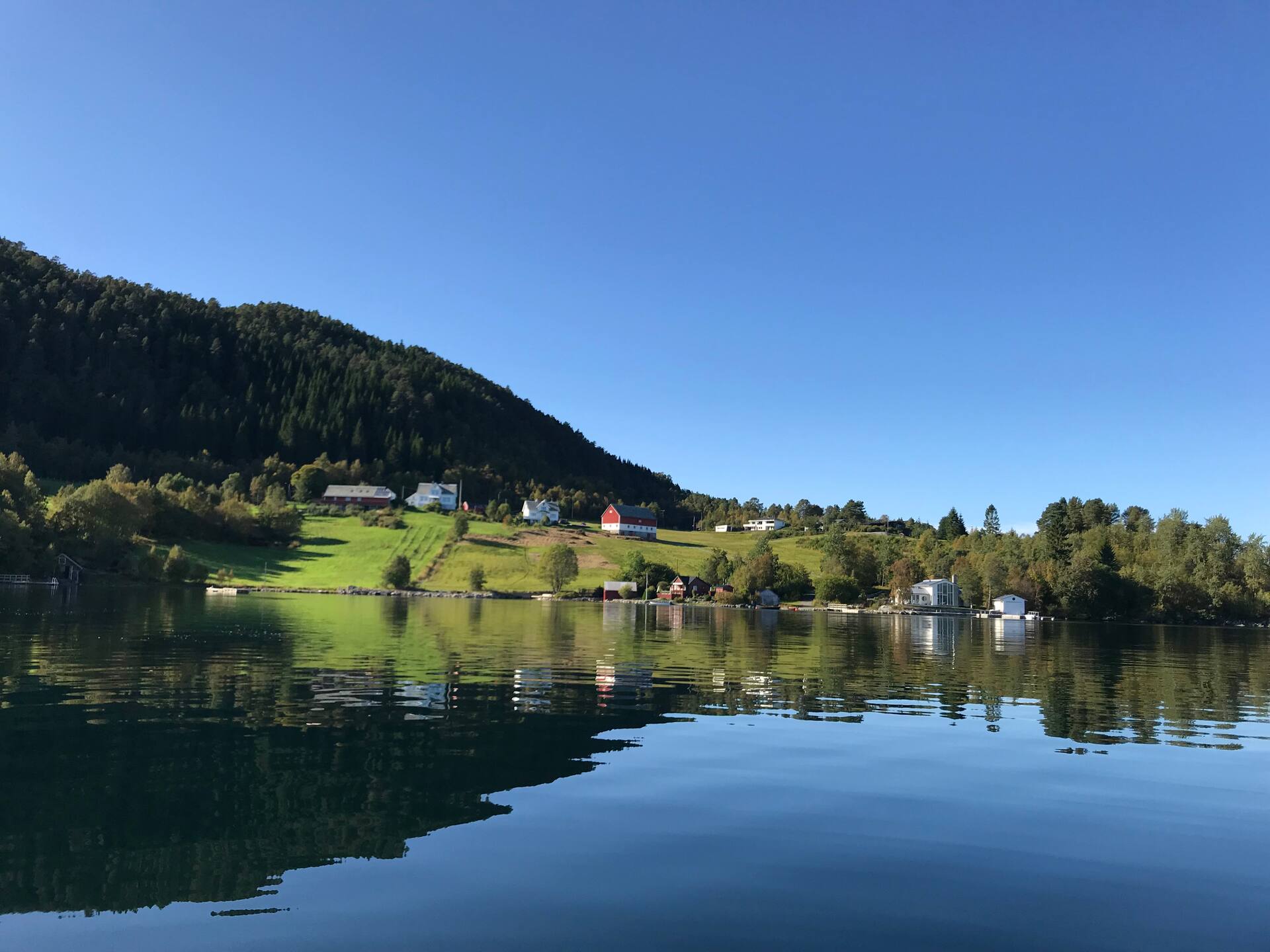 Norwegian Fjord Dream
