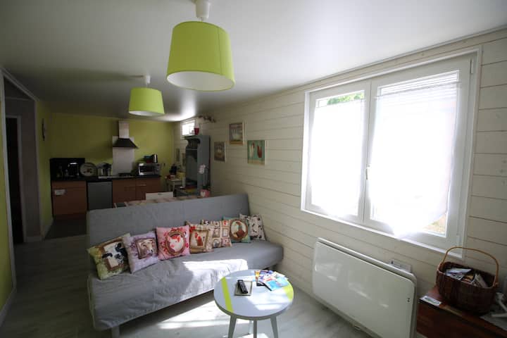 Charmant Appartement En Rez De Chalet - Sciez