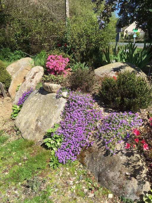 Environnement : (Rocaille du jardin)