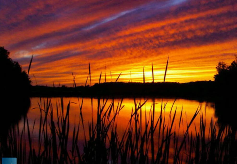 Great Sunsets