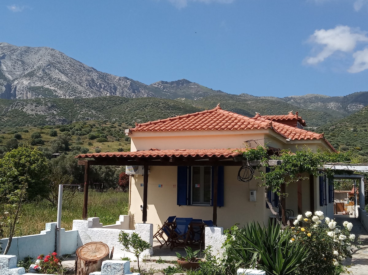This single-story house features a traditional red-tiled roof and blue window shutters. Lush green hills provide a scenic backdrop. A small outdoor seating area is present, surrounded by a garden with various plants. The structure is designed to blend with its natural surroundings.