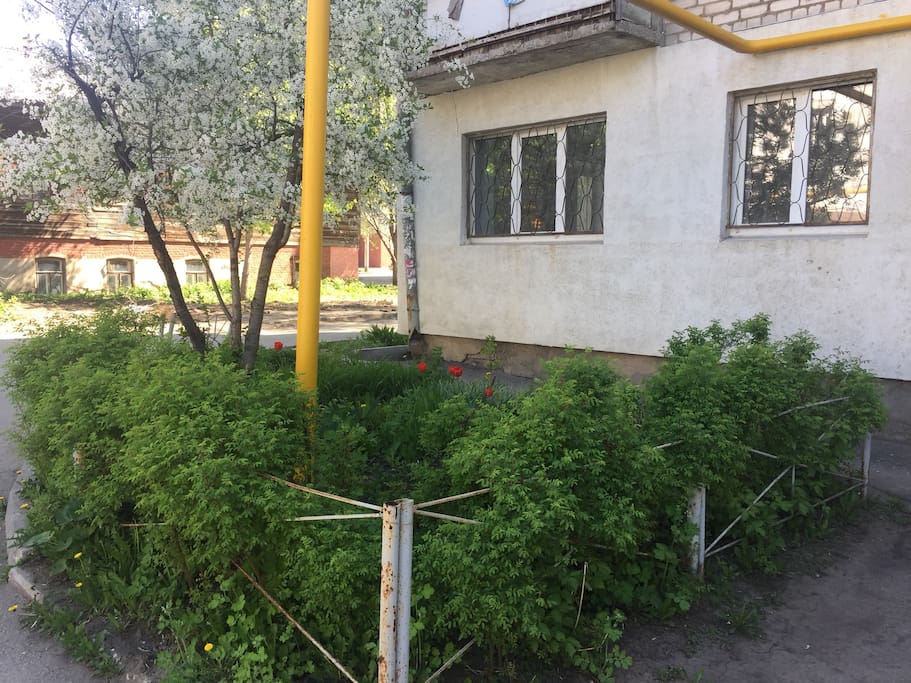 Окна вашей квартиры