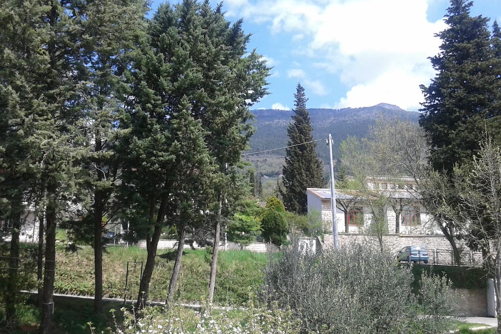 vista dalla casa