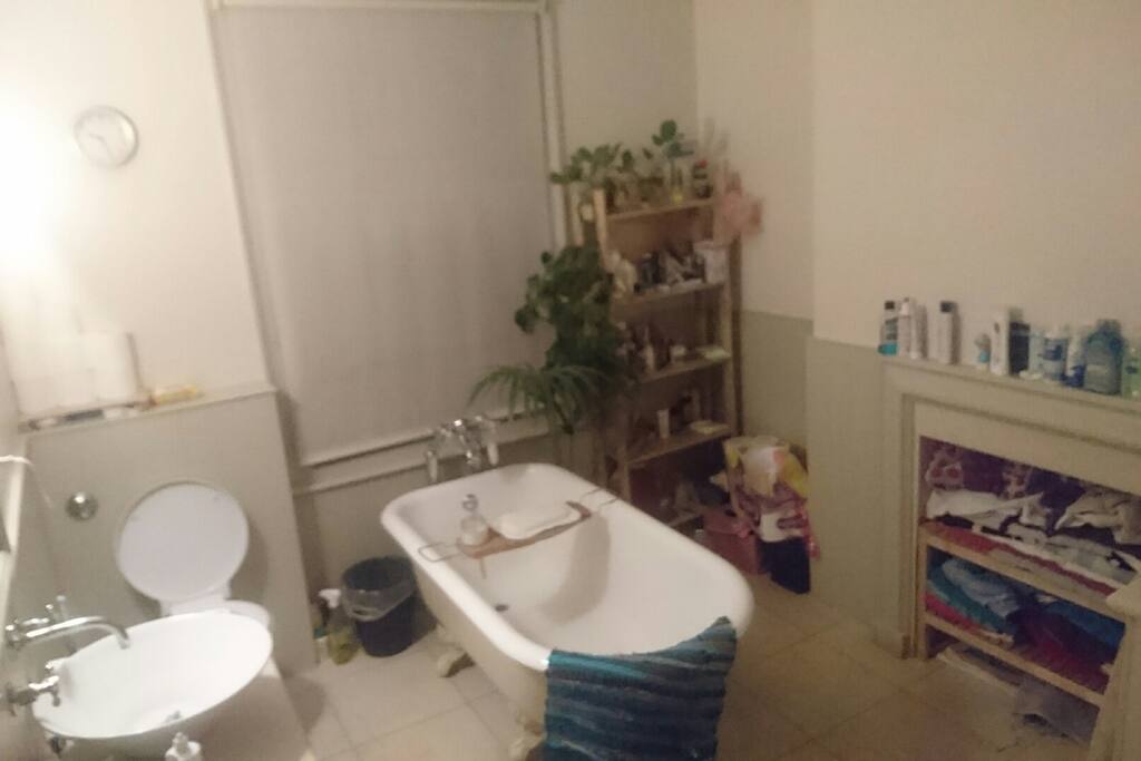bathroom with shower (in the right corner) and toilet (first floor)