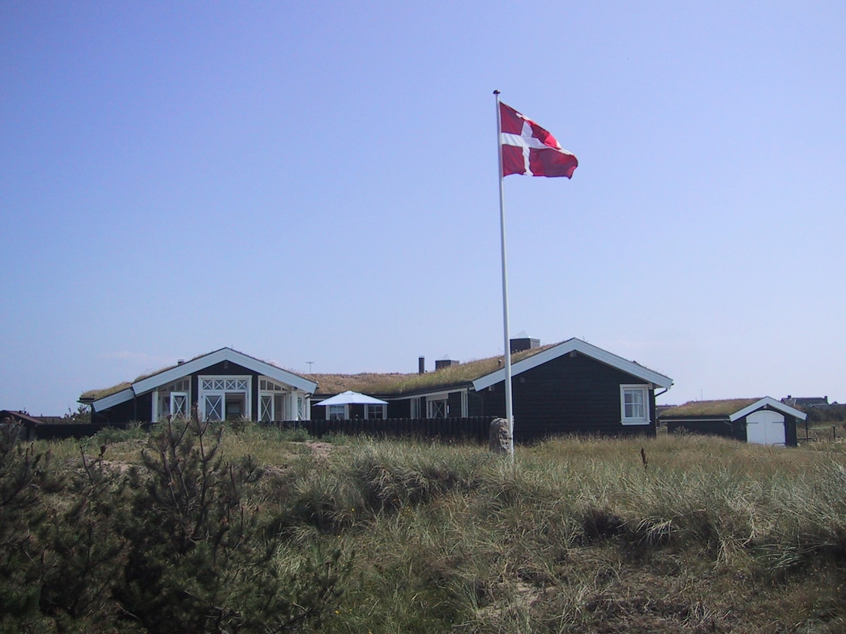 A spacious holiday home is shown, featuring a green grass roof and distinctively designed architectural elements. A Danish flag is displayed on a flagpole in the foreground, with expansive grounds of grass and low shrubs surrounding the house.