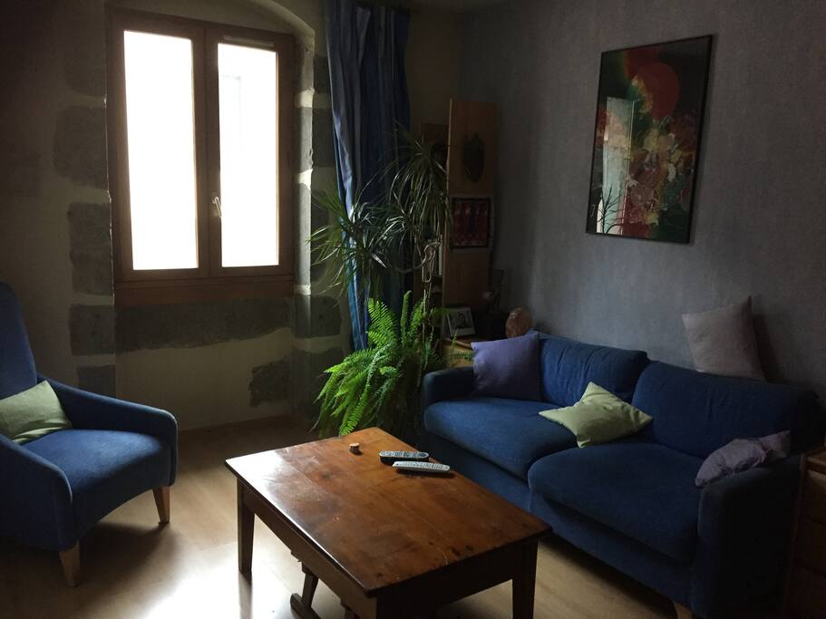 salon cosy cuisine attenante+bar