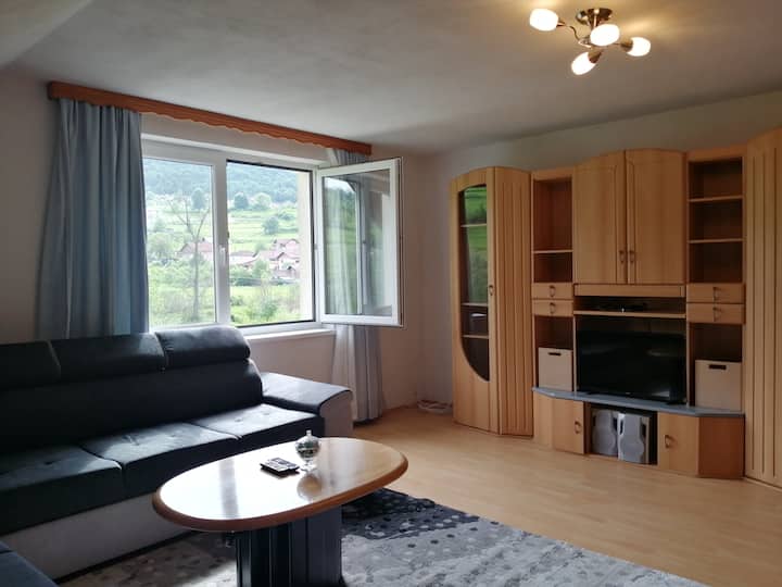 تحتوي غرفة المعيشة الخاصة بك على مساحة كبيرة مع سرير أريكة واحد ونوفر لك سريرًا فرديًا إضافيًا وخزانة ملابس وتلفزيون ونافذة مع إطلالة على الجبل والقلعة  