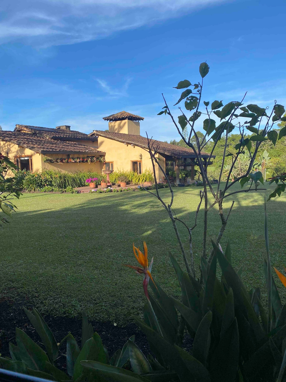 A charming house is set against a clear blue sky, featuring a tiled roof and warm earth-toned walls. Surrounding vegetation includes vibrant green grass and tropical plants with bright flowers, creating a tranquil and inviting outdoor space.