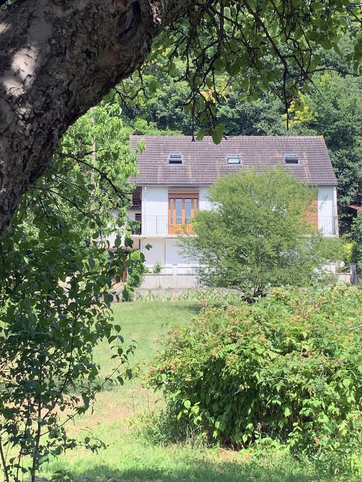 A house with a two-story structure is partially hidden by greenery. Large windows and a balcony are visible on the upper level, surrounded by lush trees and shrubs. The setting includes a verdant landscape, offering a sense of tranquility.