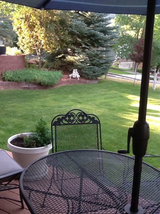 Back patio