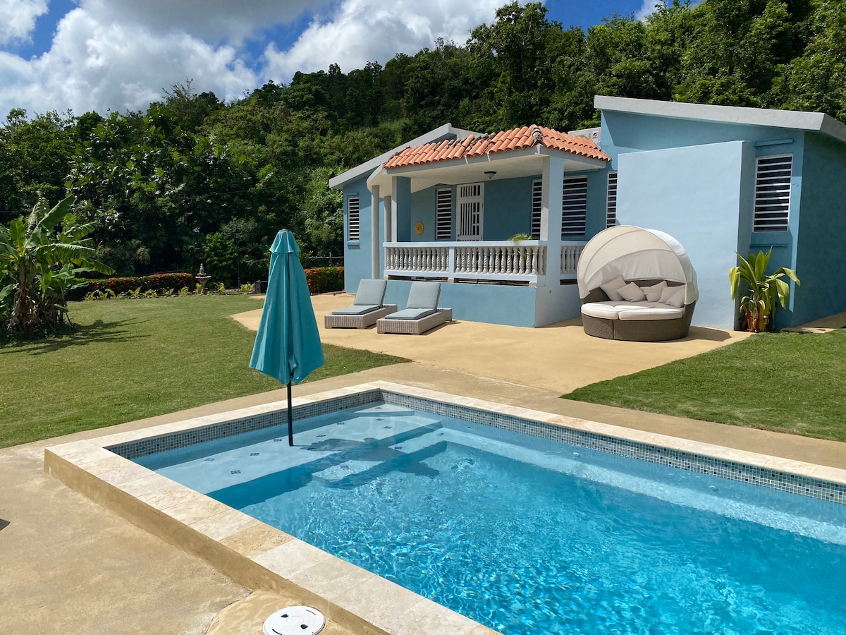 A private pool reflects sunlight under a clear sky, surrounded by a grassy area. A blue umbrella stands beside the pool. Two sun loungers are arranged nearby, with a cozy outdoor seating area featuring a round, cushioned canopy. Verdant greenery frames the house in the background.