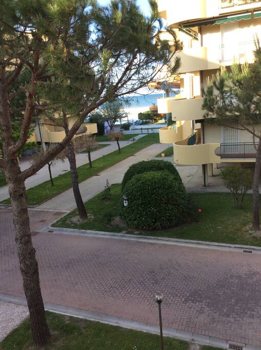 Le jardin