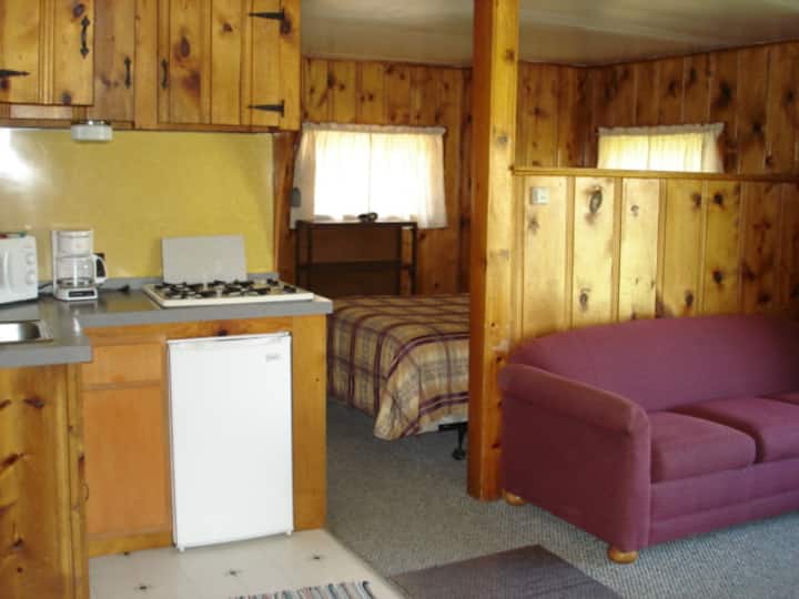 Cabin 8 sur la rivière Little Cimarron Cabanes à louer à