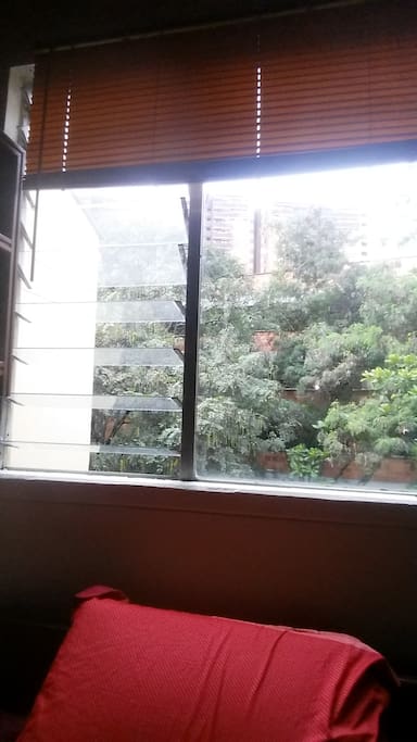 window