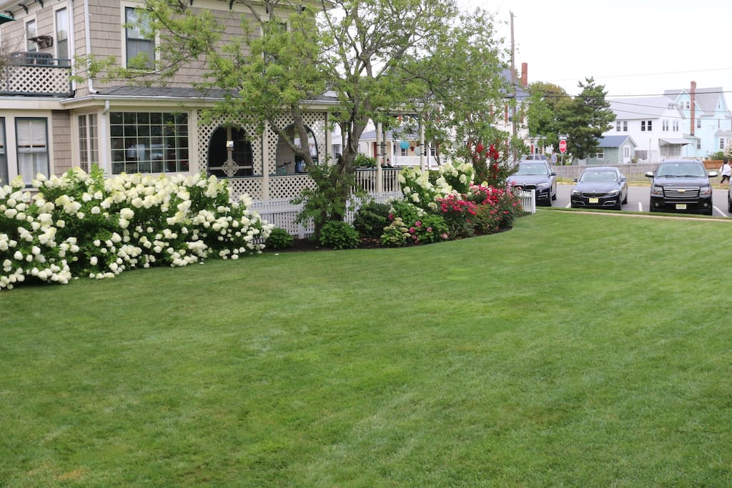 Beautiful Side Yard