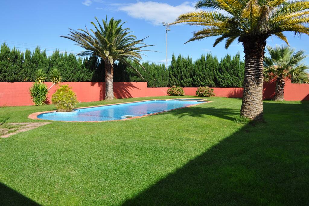 La piscine au sel et bronzette sur le gazon