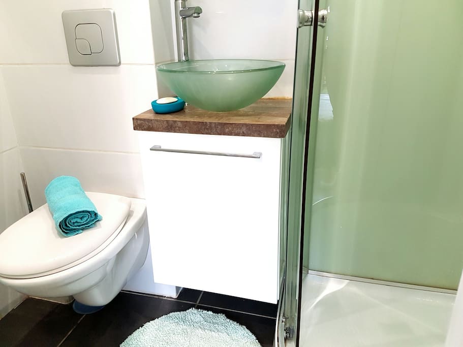 Bathroom, toilet , shower