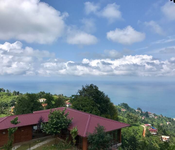 rize kiralik tatil evleri ve evler rize turkiye airbnb