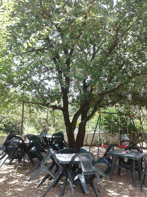 giardino comune